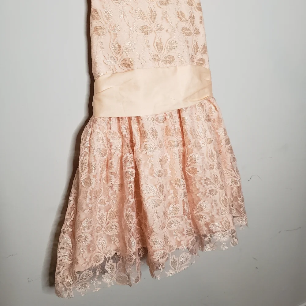NWT Sophie Catalou Size 4 Toddler Girl Pink Floral Lace Party Dress